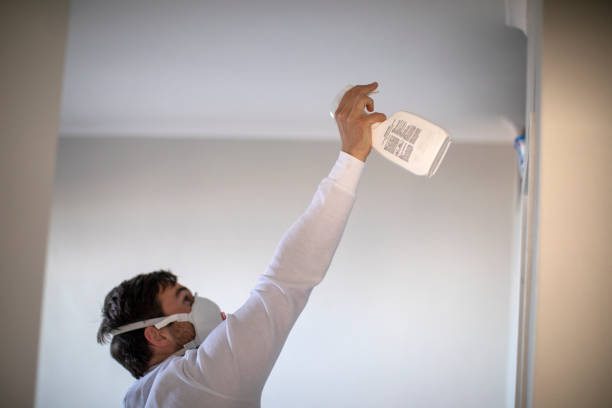 Mold Removal and Inspection in Arcola, TX