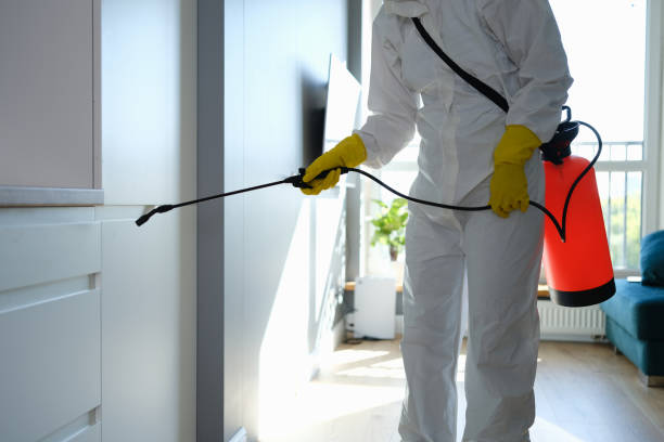 Best Certified Mold Removal  in Arcola, TX
